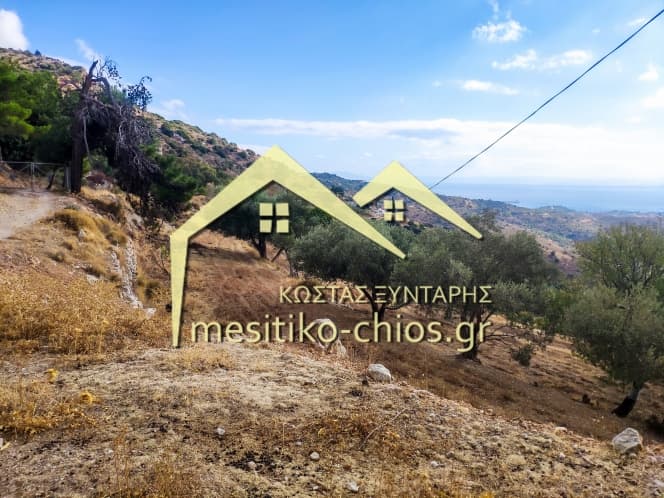 Οικόπεδο στην Ομηρούπολη, Χίος — Φωτογραφία 10 από 20