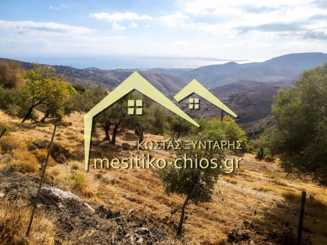 Οικόπεδο στην Ομηρούπολη, Χίος — Φωτογραφία 1 από 20