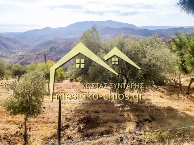 Οικόπεδο στην Ομηρούπολη, Χίος — Φωτογραφία 2 από 20
