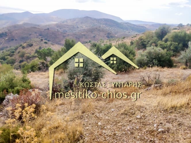Οικόπεδο στην Ομηρούπολη, Χίος — Φωτογραφία 16 από 20