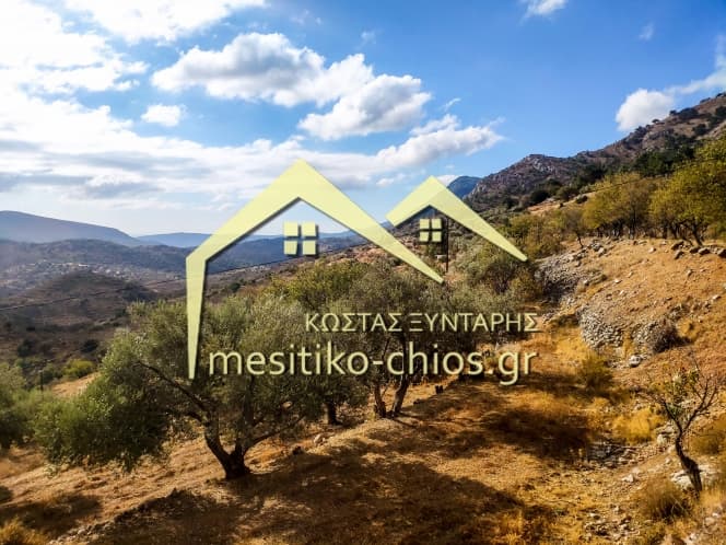 Οικόπεδο στην Ομηρούπολη, Χίος — Φωτογραφία 7 από 20