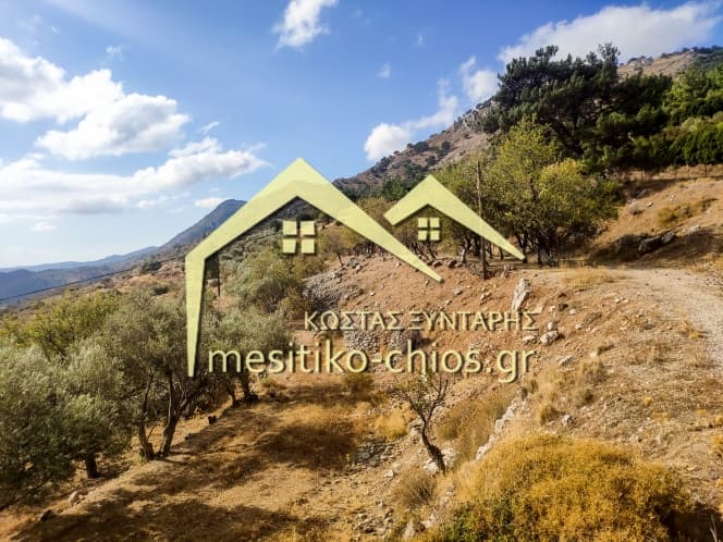 Οικόπεδο στην Ομηρούπολη, Χίος — Φωτογραφία 6 από 20