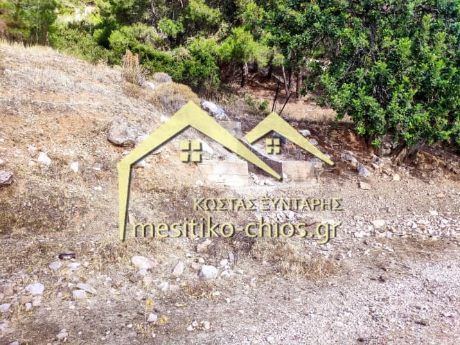 Οικόπεδο στην Ομηρούπολη, Χίος — Φωτογραφία 11 από 20