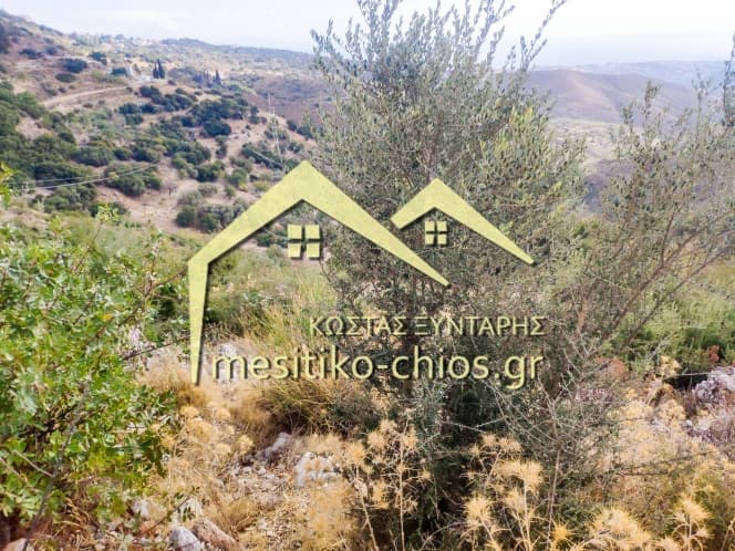 Οικόπεδο στην Ομηρούπολη, Χίος — Φωτογραφία 17 από 20