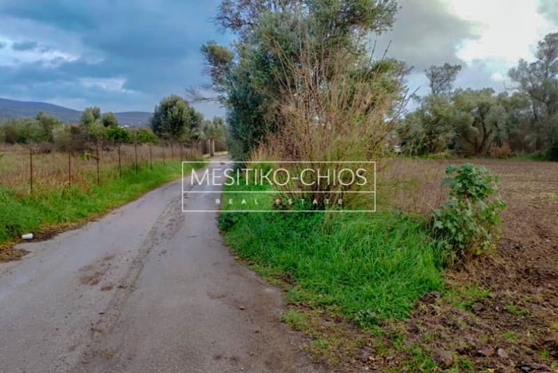 Οικόπεδο στην Καμποχώρια, Χίος — Φωτογραφία 17 από 27
