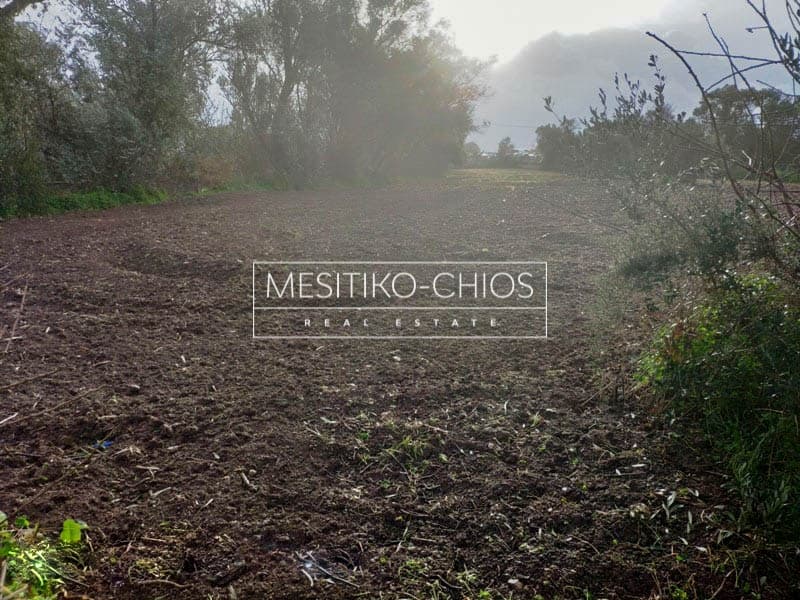 Οικόπεδο στην Καμποχώρια, Χίος — Φωτογραφία 15 από 27