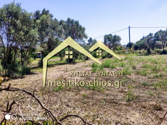 Οικόπεδο στην Άγιος Μηνάς, Χίος — Φωτογραφία 5 από 7