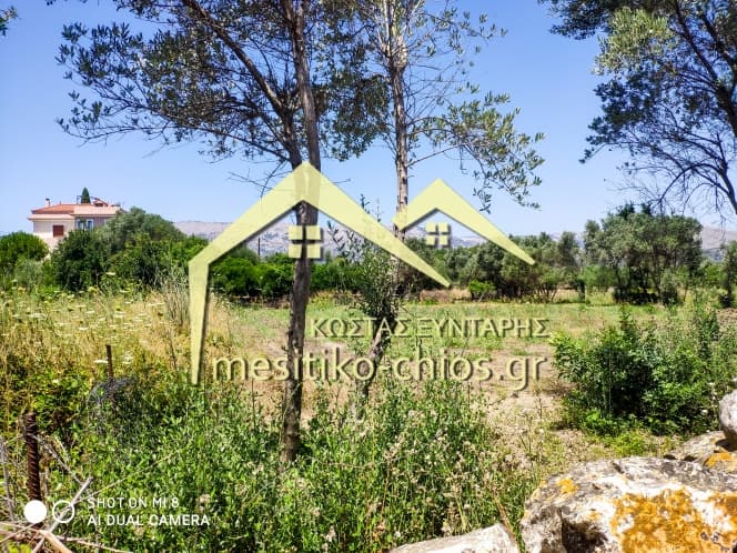 Οικόπεδο στην Άγιος Μηνάς, Χίος — Φωτογραφία 7 από 7