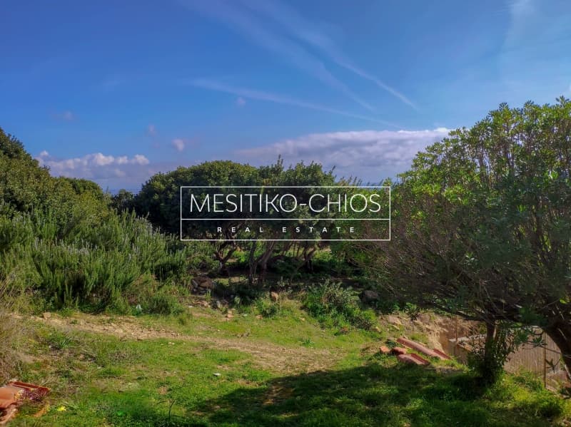 Οικόπεδο στην Άγιος Μηνάς, Χίος — Φωτογραφία 17 από 22