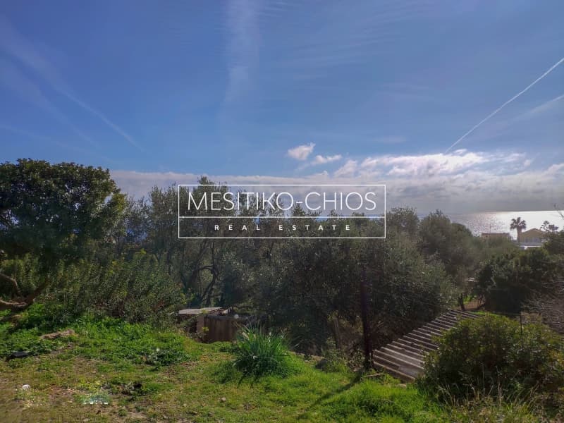 Οικόπεδο στην Άγιος Μηνάς, Χίος — Φωτογραφία 21 από 22