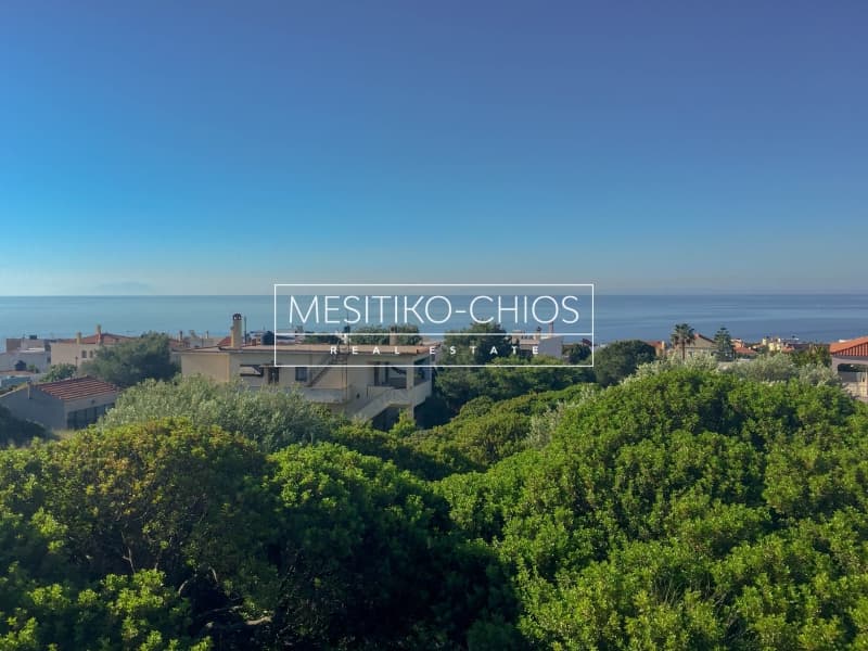 Οικόπεδο στην Άγιος Μηνάς, Χίος — Φωτογραφία 7 από 22