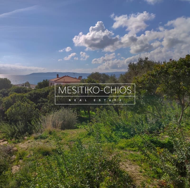 Οικόπεδο στην Άγιος Μηνάς, Χίος — Φωτογραφία 14 από 22