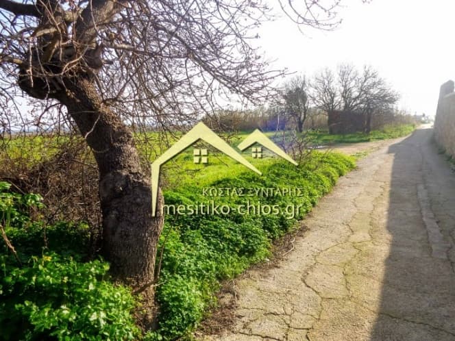 Οικόπεδο στην Πόλη Χίου, Χίος — Φωτογραφία 6 από 7