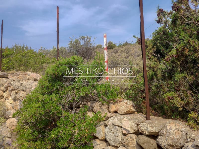 Οικόπεδο στην Μαστιχοχώρια, Χίος — Φωτογραφία 9 από 19