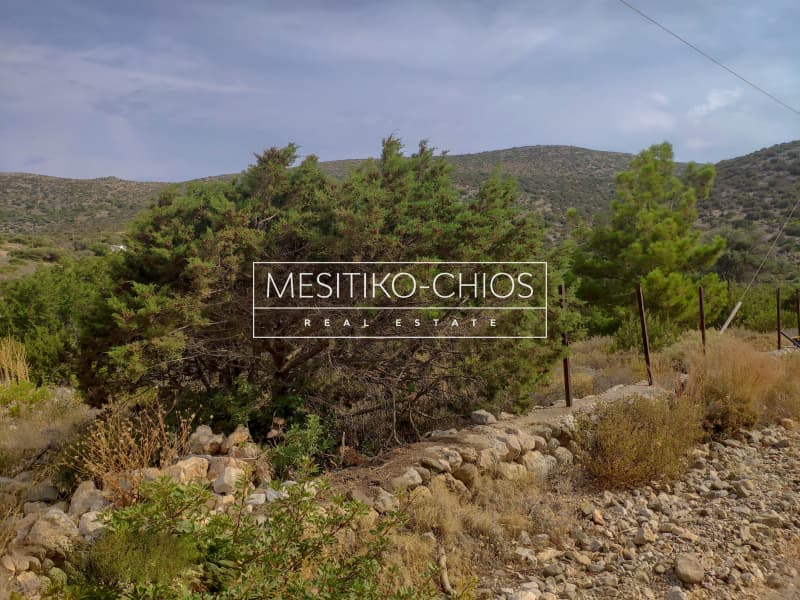 Οικόπεδο στην Μαστιχοχώρια, Χίος — Φωτογραφία 7 από 19