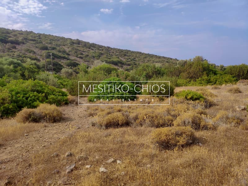 Οικόπεδο στην Μαστιχοχώρια, Χίος — Φωτογραφία 3 από 19