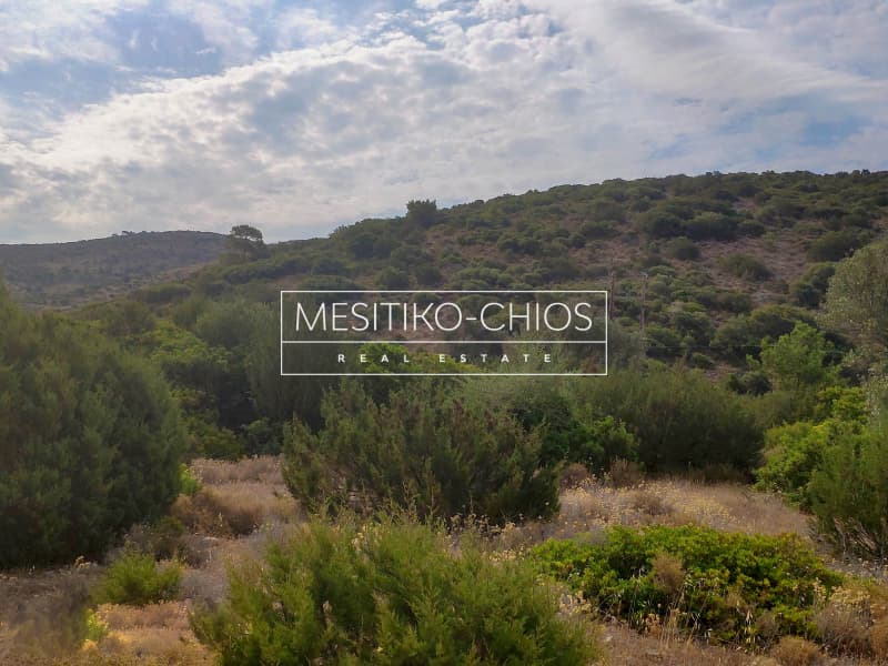 Οικόπεδο στην Μαστιχοχώρια, Χίος — Φωτογραφία 5 από 19