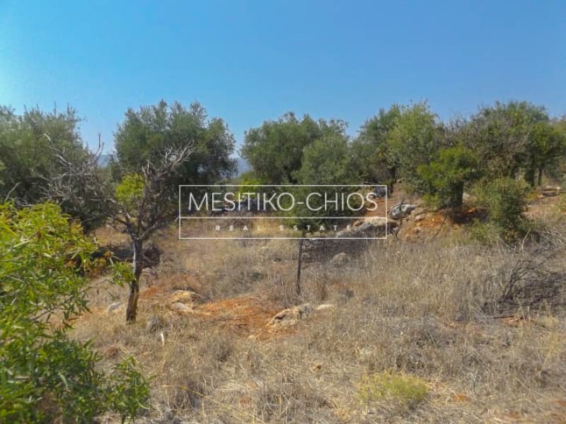 Οικόπεδο στην Πόλη Χίου, Χίος — Φωτογραφία 3 από 5