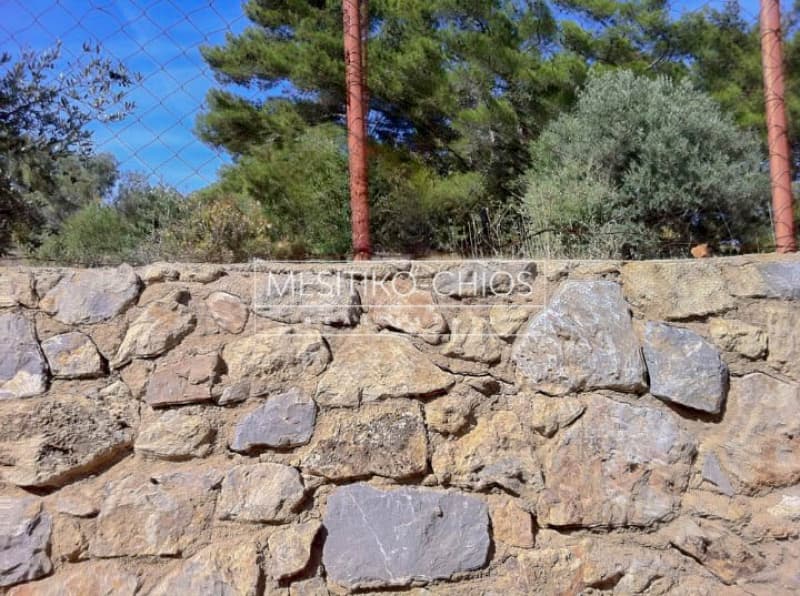 Οικόπεδο στην Πόλη Χίου, Χίος — Φωτογραφία 5 από 5