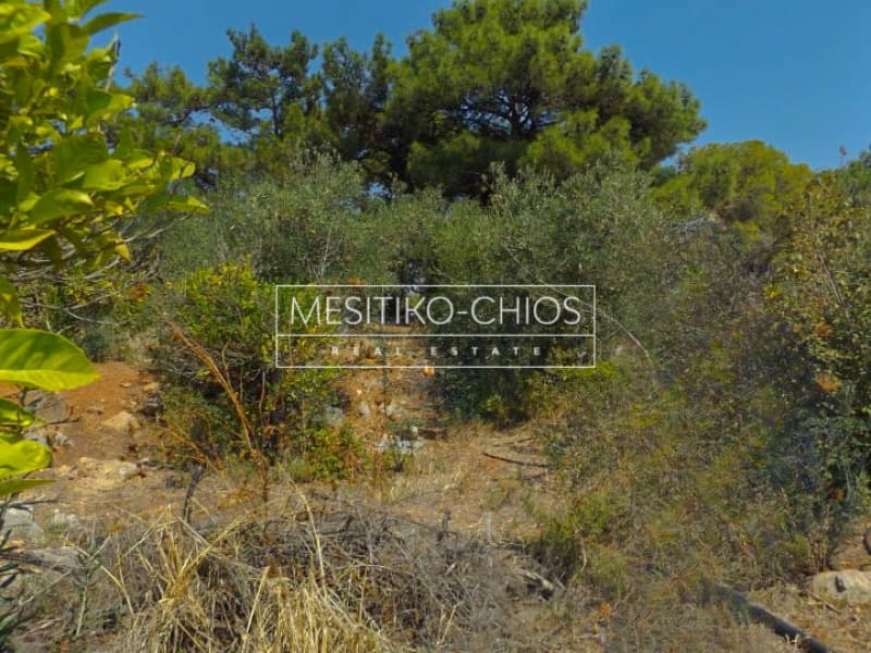 Οικόπεδο στην Άγιος Μηνάς, Χίος — Φωτογραφία 3 από 5