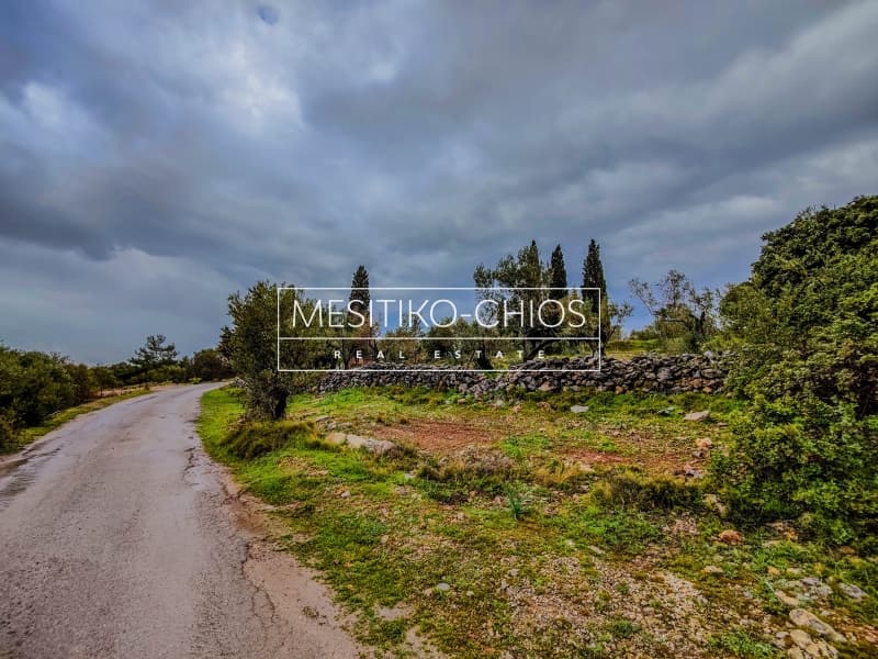 Οικόπεδο στην Πόλη Χίου, Χίος — Φωτογραφία 12 από 23