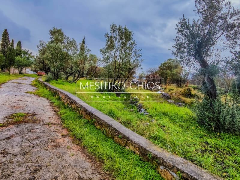 Οικόπεδο στην Πόλη Χίου, Χίος — Φωτογραφία 13 από 23