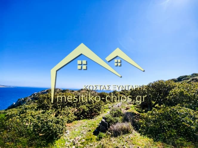 Οικόπεδο στην Μαστιχοχώρια, Χίος — Φωτογραφία 11 από 21