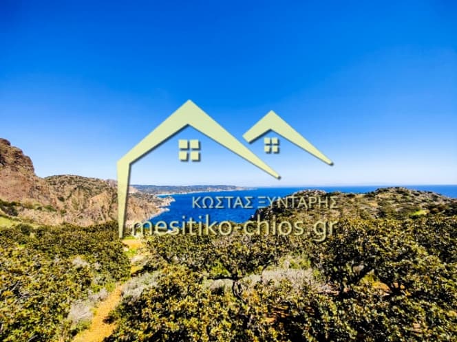 Οικόπεδο στην Μαστιχοχώρια, Χίος — Φωτογραφία 9 από 21