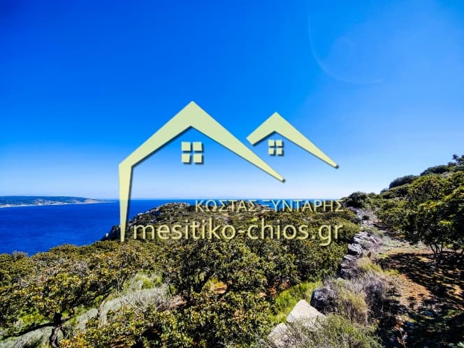 Οικόπεδο στην Μαστιχοχώρια, Χίος — Φωτογραφία 10 από 21