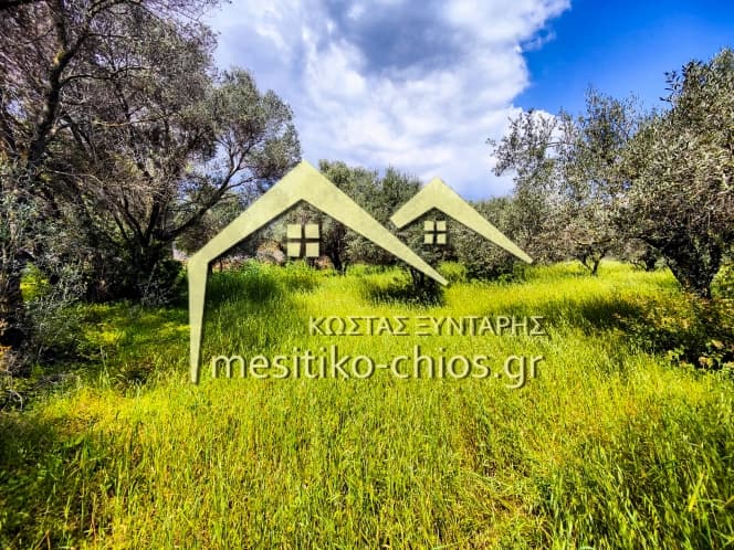 Οικόπεδο στην Άγιος Μηνάς, Χίος — Φωτογραφία 5 από 10