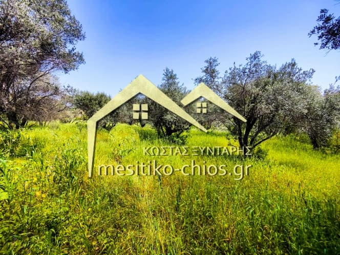 Οικόπεδο στην Άγιος Μηνάς, Χίος — Φωτογραφία 4 από 10