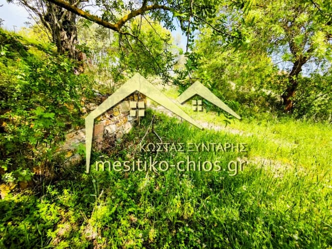 Οικόπεδο στην Άγιος Μηνάς, Χίος — Φωτογραφία 10 από 10