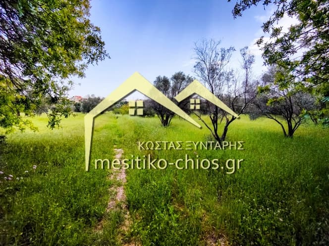 Οικόπεδο στην Άγιος Μηνάς, Χίος — Φωτογραφία 1 από 10