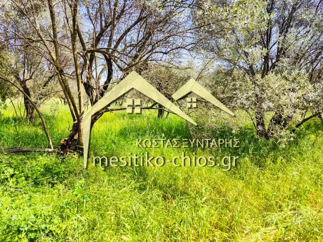 Οικόπεδο στην Άγιος Μηνάς, Χίος — Φωτογραφία 8 από 10