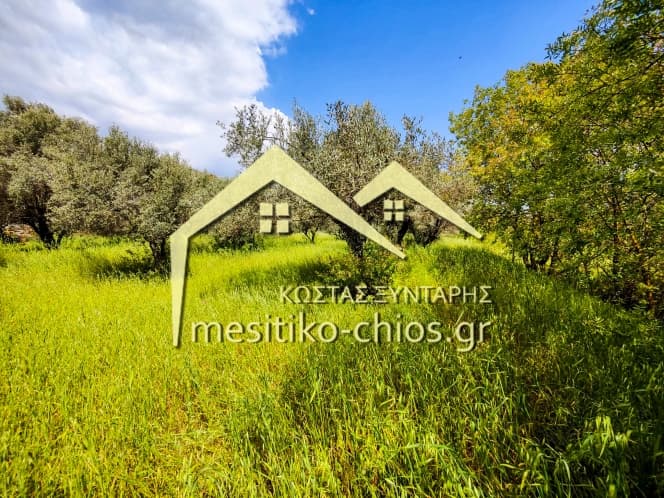 Οικόπεδο στην Άγιος Μηνάς, Χίος — Φωτογραφία 9 από 10