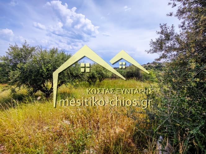 Οικόπεδο στην Πόλη Χίου, Χίος — Φωτογραφία 2 από 8