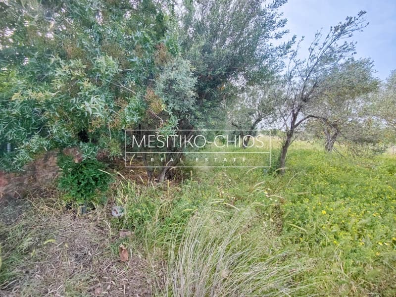 Οικόπεδο στην Άγιος Μηνάς, Χίος — Φωτογραφία 14 από 25