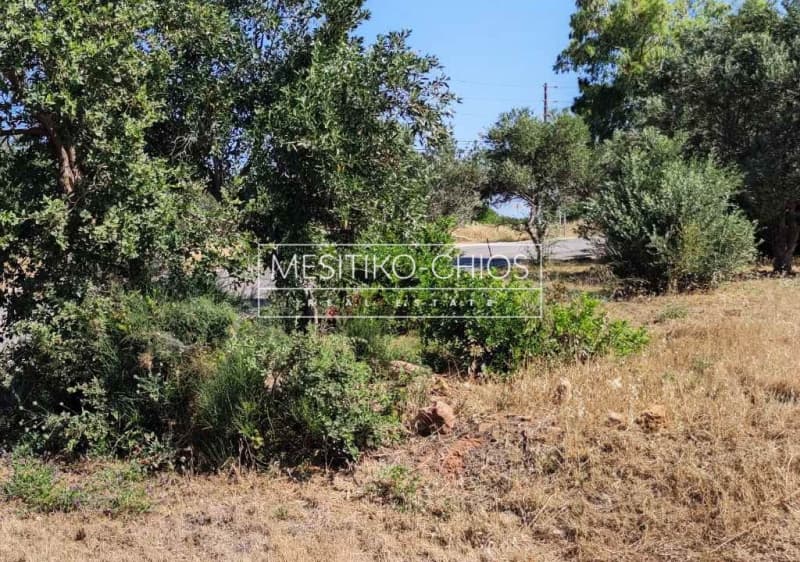 Οικόπεδο στην Άγιος Μηνάς, Χίος — Φωτογραφία 22 από 25