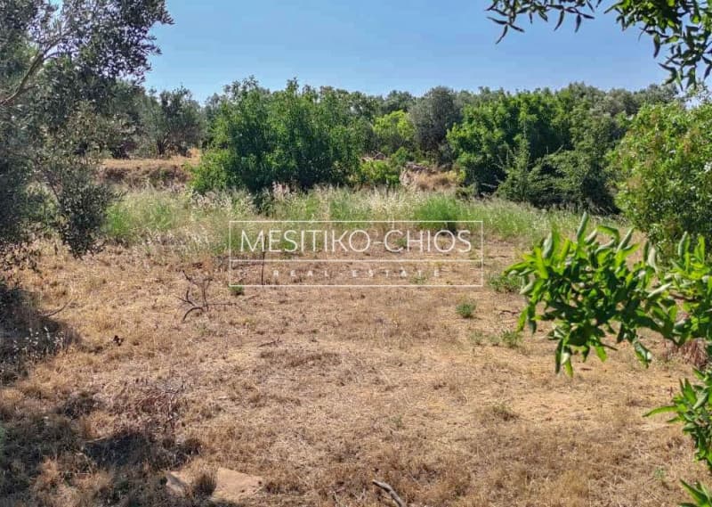 Οικόπεδο στην Άγιος Μηνάς, Χίος — Φωτογραφία 9 από 25