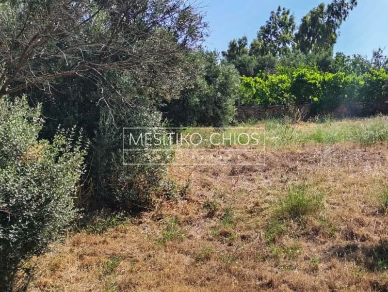 Οικόπεδο στην Άγιος Μηνάς, Χίος — Φωτογραφία 19 από 25