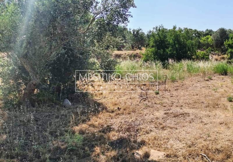 Οικόπεδο στην Άγιος Μηνάς, Χίος — Φωτογραφία 18 από 25