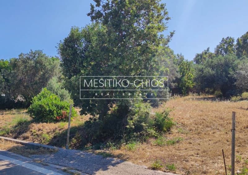 Οικόπεδο στην Άγιος Μηνάς, Χίος — Φωτογραφία 24 από 25