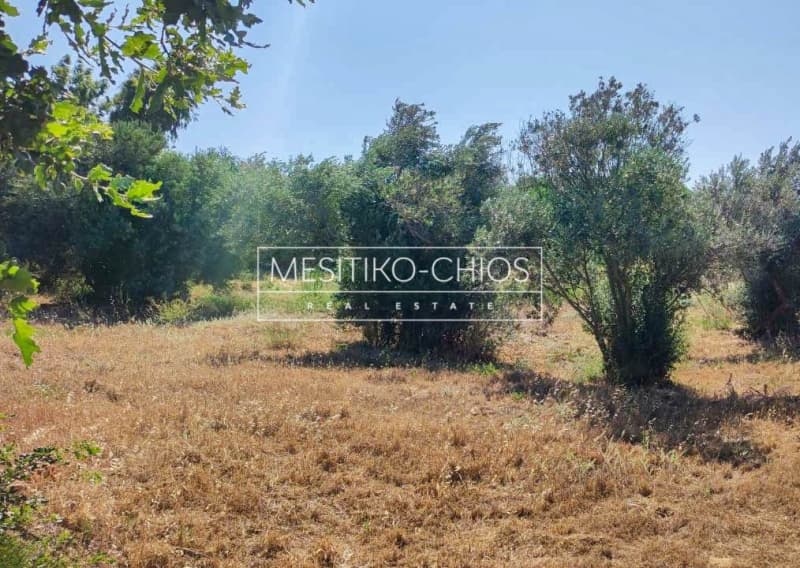 Οικόπεδο στην Άγιος Μηνάς, Χίος — Φωτογραφία 16 από 25