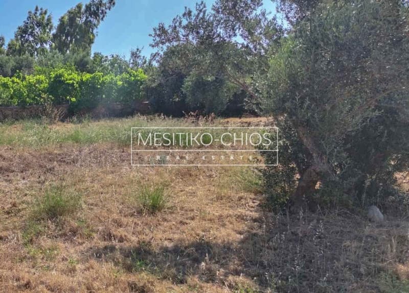 Οικόπεδο στην Άγιος Μηνάς, Χίος — Φωτογραφία 11 από 25