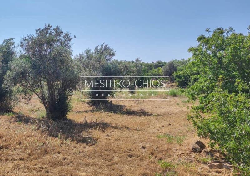 Οικόπεδο στην Άγιος Μηνάς, Χίος — Φωτογραφία 25 από 25