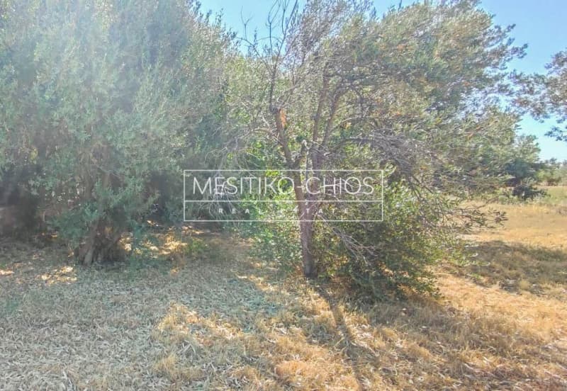 Οικόπεδο στην Άγιος Μηνάς, Χίος — Φωτογραφία 10 από 25