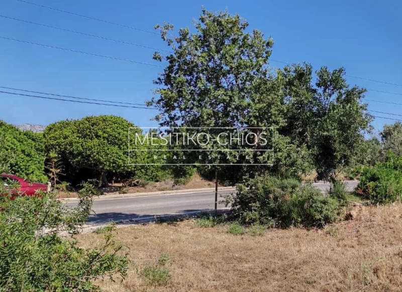 Οικόπεδο στην Άγιος Μηνάς, Χίος — Φωτογραφία 17 από 25
