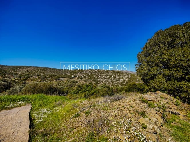 Αγροτεμάχιο στην Μαστιχοχώρια, Χίος — Φωτογραφία 2 από 8