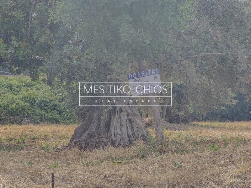 Οικόπεδο στην Πόλη Χίου, Χίος — Φωτογραφία 20 από 25