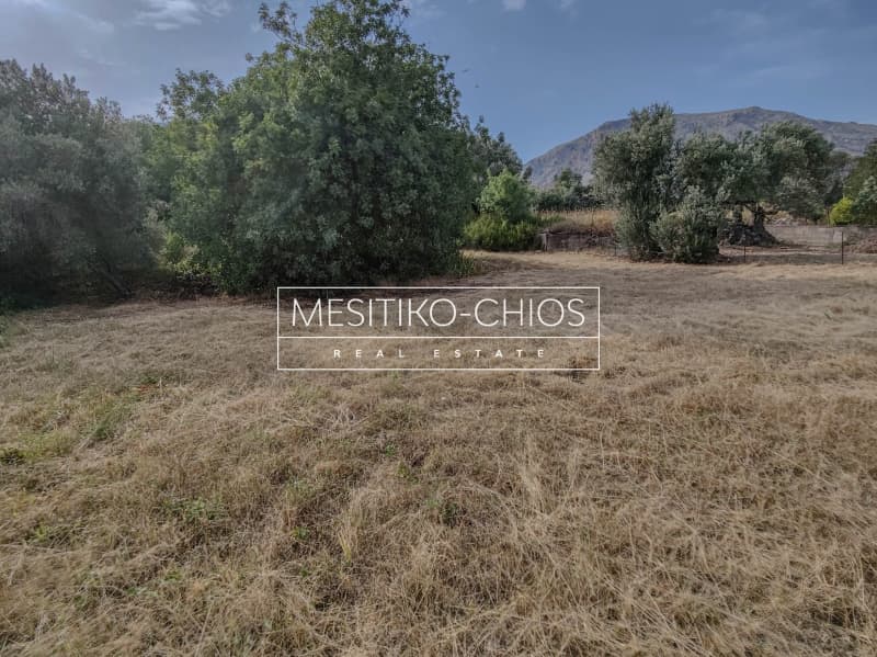 Οικόπεδο στην Πόλη Χίου, Χίος — Φωτογραφία 5 από 25